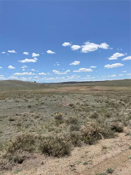 1868 Ute Trace DR, Hartsel, CO 80449