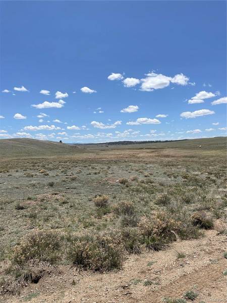 1868 Ute Trace DR, Hartsel, CO 80449