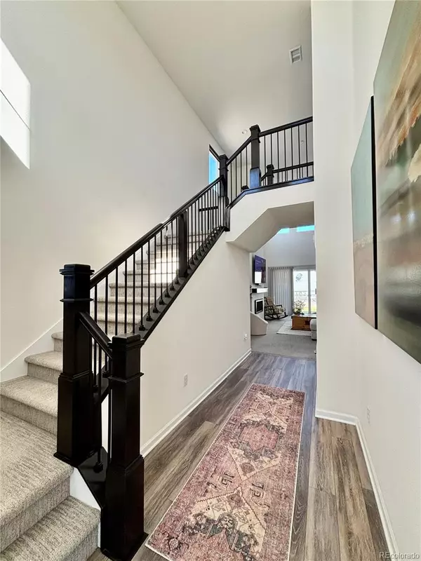 Castle Rock, CO 80104,99 Simmental LOOP