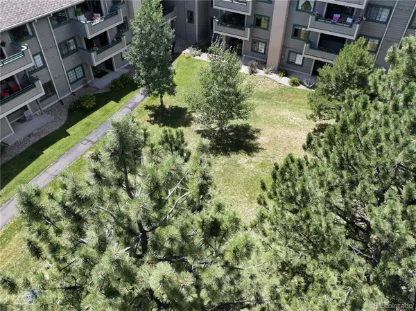 Evergreen, CO 80439,31719 Rocky Village DR #408