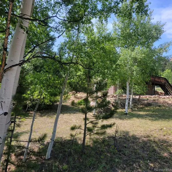 109 Kiowa TRL, Lake George, CO 80827