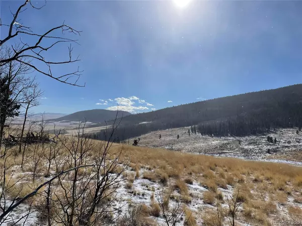 Fairplay, CO 80440,0 High Creek RD