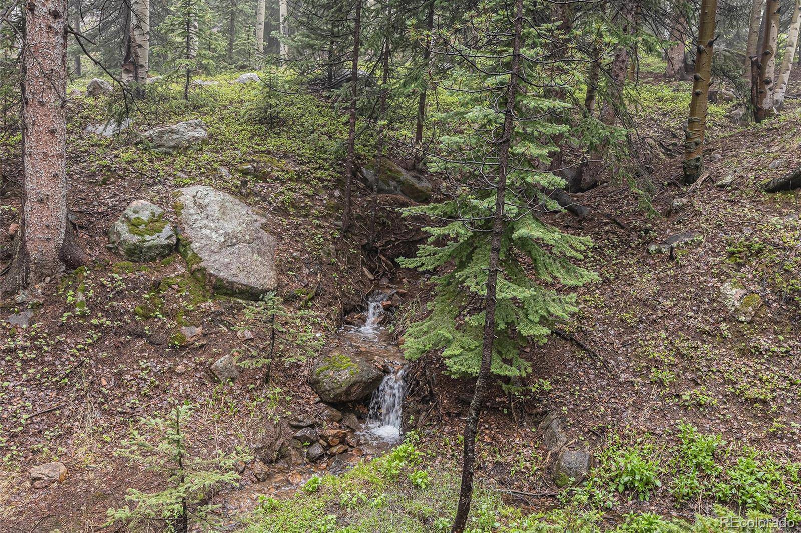 Conifer, CO 80433,10419 Christopher DR