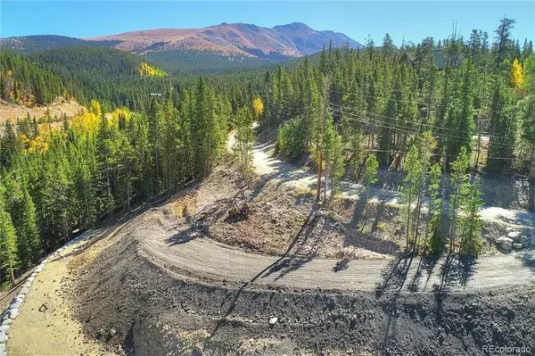 Breckenridge, CO 80424,103 CR 529