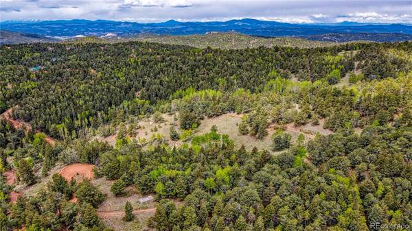 Divide, CO 80814,623 Rocky Mountain VW