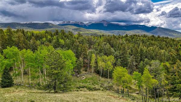 Divide, CO 80814,623 Rocky Mountain VW