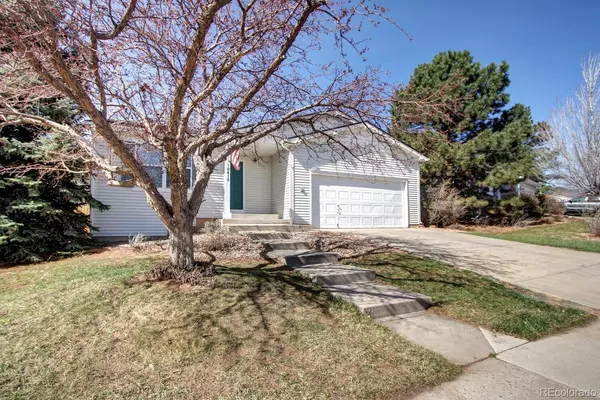 Littleton, CO 80125,10418 Buckeye ST