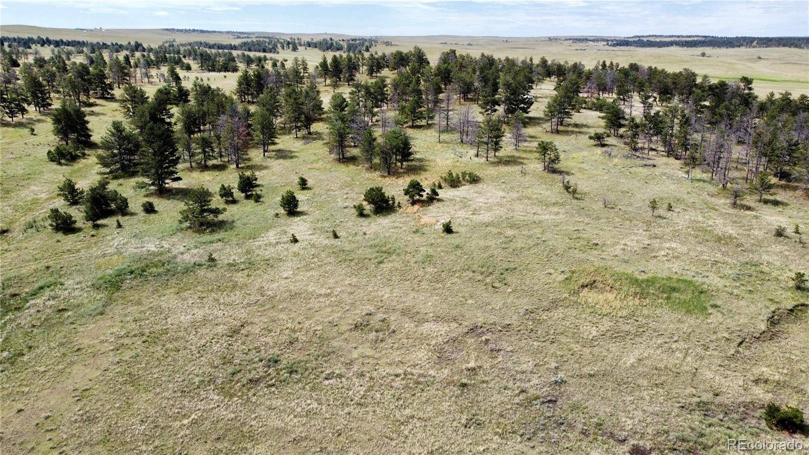 Ramah, CO 80832,32041 Cattle Circle