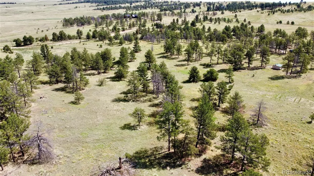 Ramah, CO 80832,32041 Cattle Circle