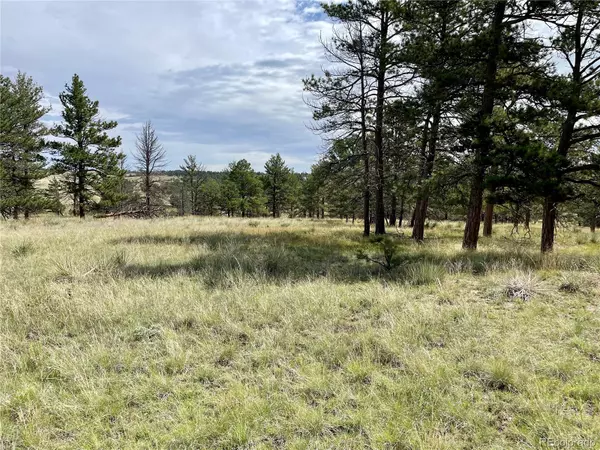 Ramah, CO 80832,32041 Cattle Circle