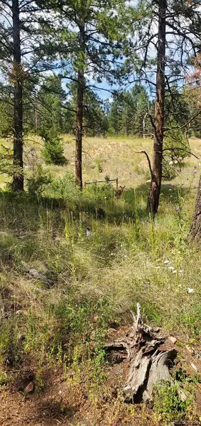 27793 Fawn DR, Conifer, CO 80433