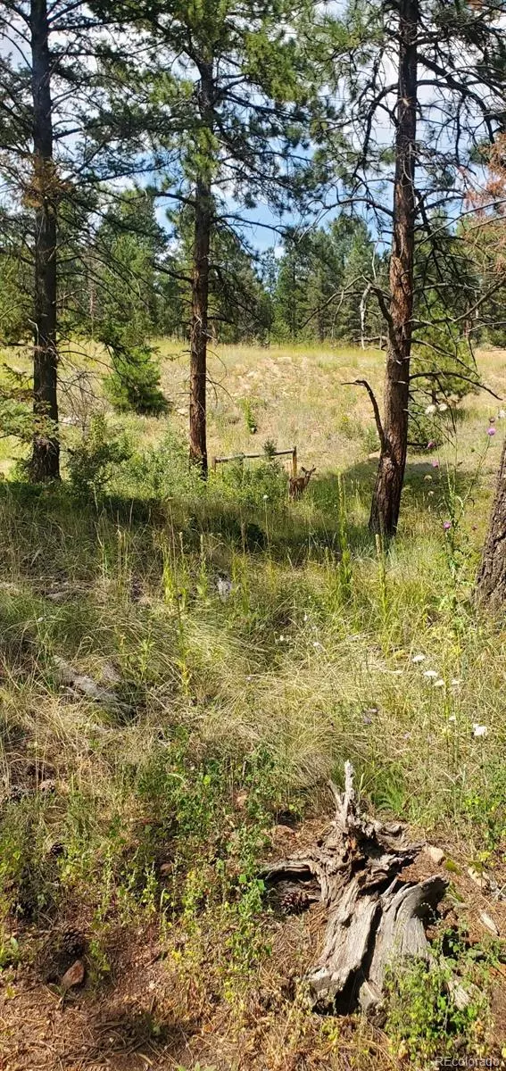 Conifer, CO 80433,27793 Fawn DR