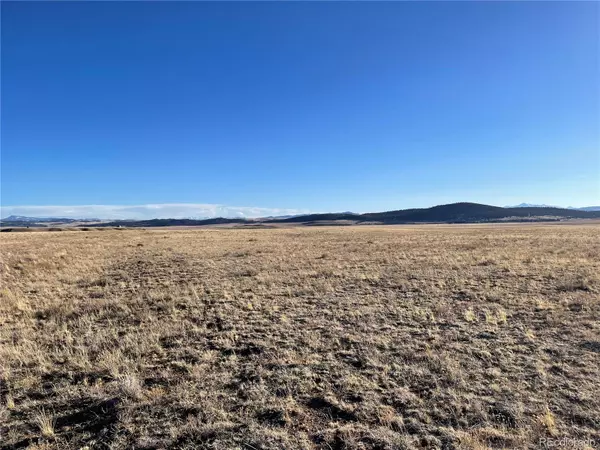 1401 Kiowa TRL, Hartsel, CO 80449