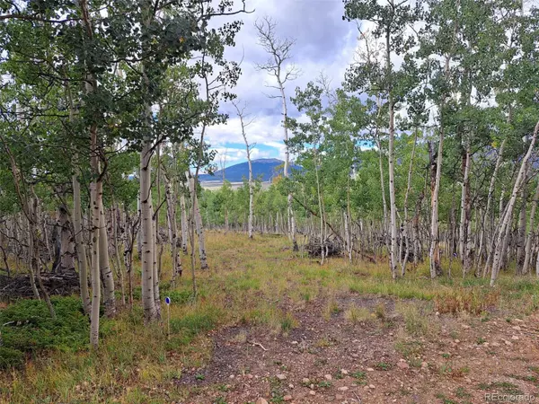 Jefferson, CO 80456,727 French Pass CIR