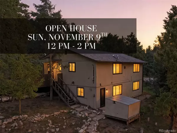 364 Sleepy Hollow DR, Bailey, CO 80421