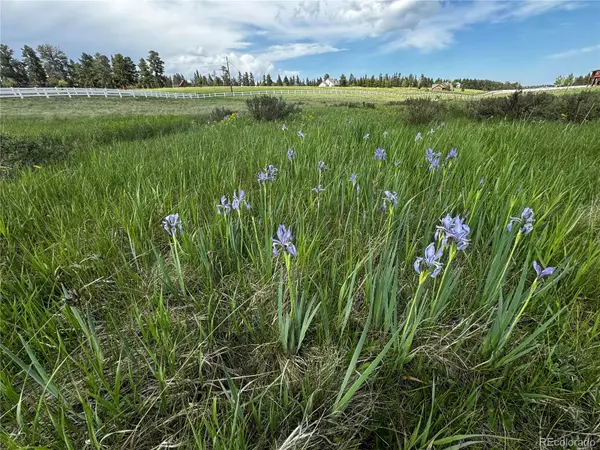 Divide, CO 80814,199 Joshua RD