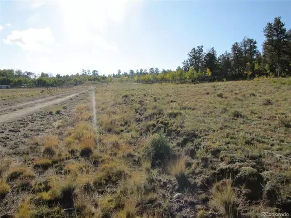 Hartsel, CO 80449,313 Aspen LN