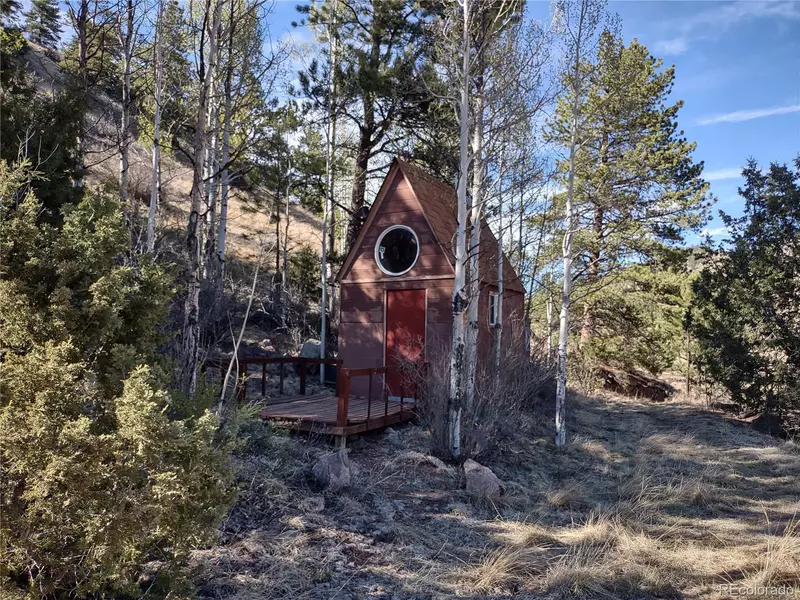 899 Meadows LN, Florissant, CO 80816