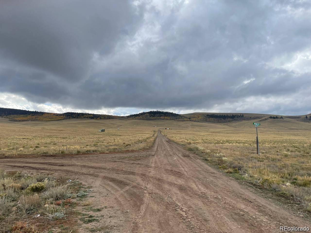 Hartsel, CO 80449,00 Shtaha RD