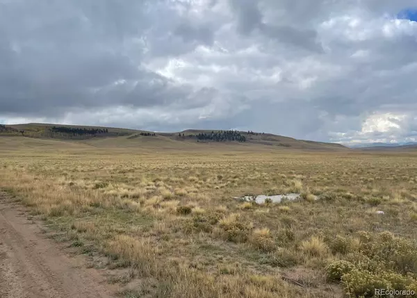Hartsel, CO 80449,00 Shtaha RD