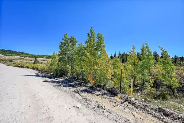 Alma, CO 80420,PCR 12