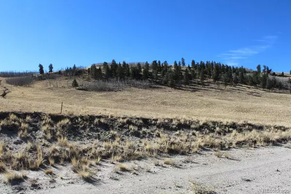 Coochee TRL, Guffey, CO 80820