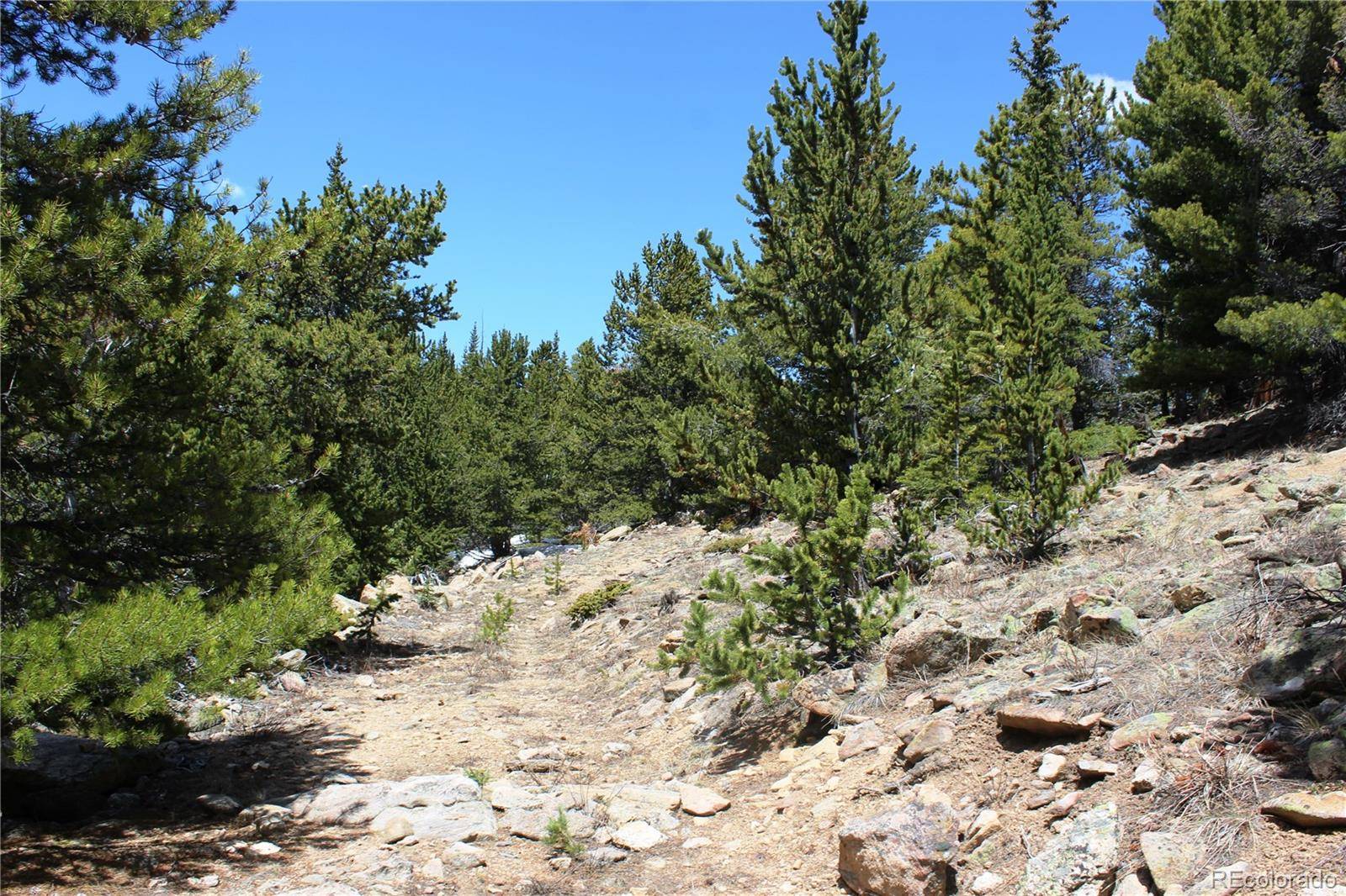 Group 10 Lamartine RD, Idaho Springs, CO 80452