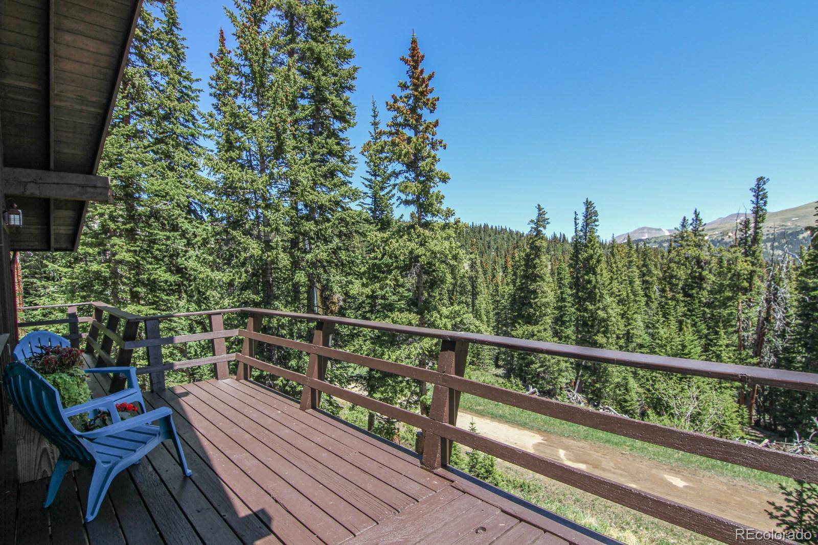 Alma, CO 80420,135 Nugget LN