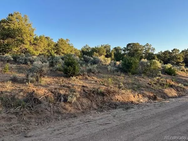 San Luis, CO 81152,Lot 1575 Balleroy RD