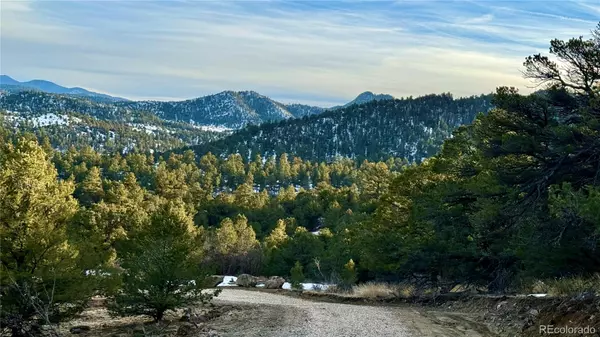 Westcliffe, CO 81252,516 Durfee CIR