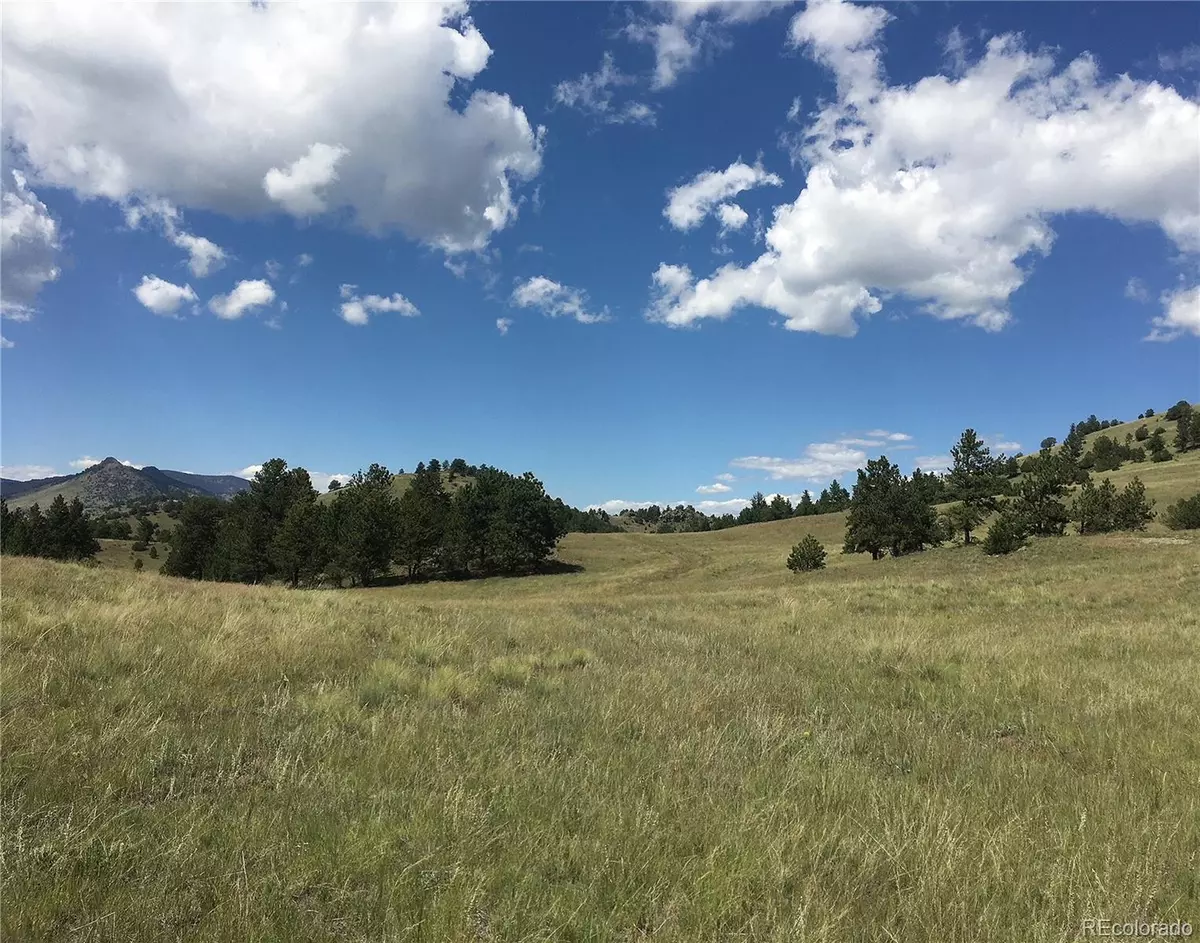 Guffey, CO 80820,0 Daisy LN