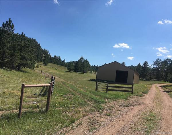 Guffey, CO 80820,0 Daisy LN