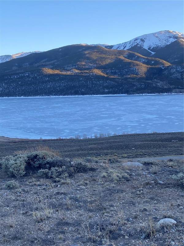 Twin Lakes, CO 81251,408 Mount Hope DR