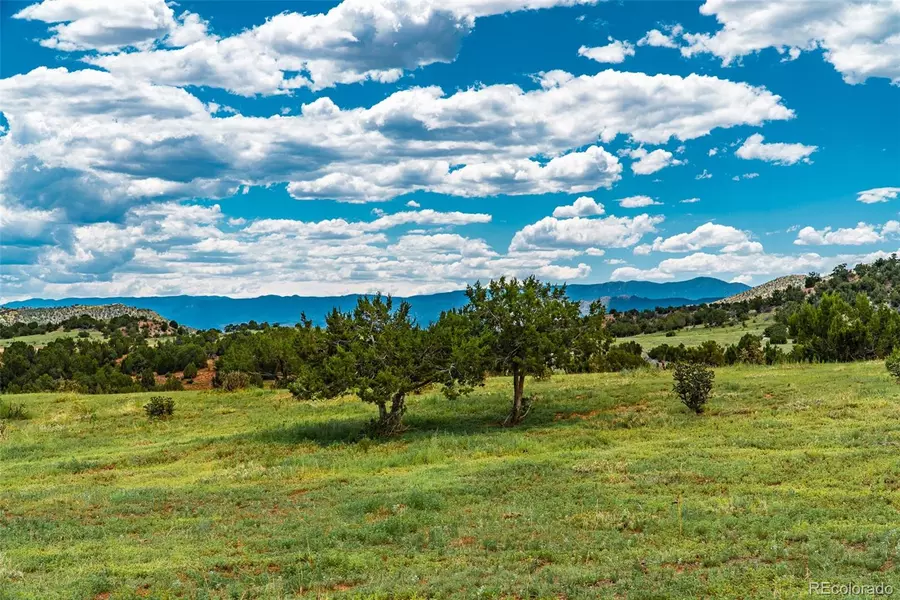 Unknown County Road 69, Canon City, CO 81215