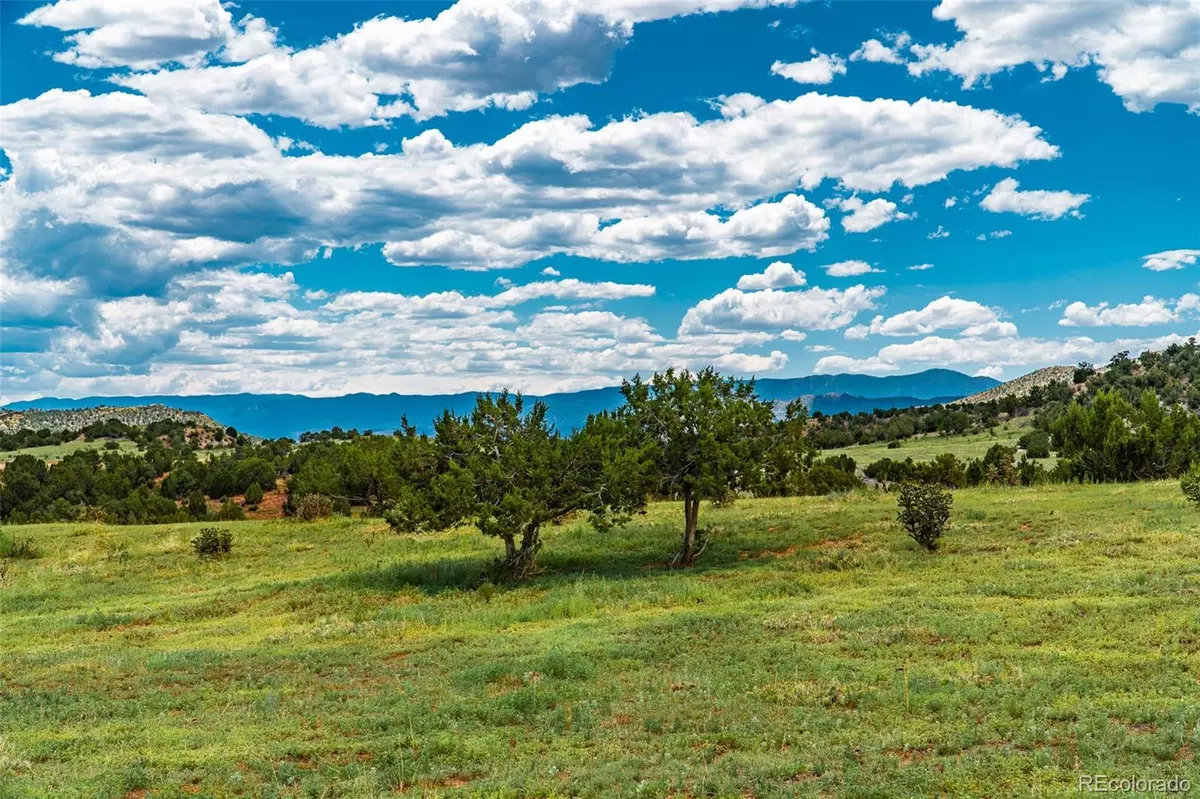 Canon City, CO 81215,Unknown County Road 69