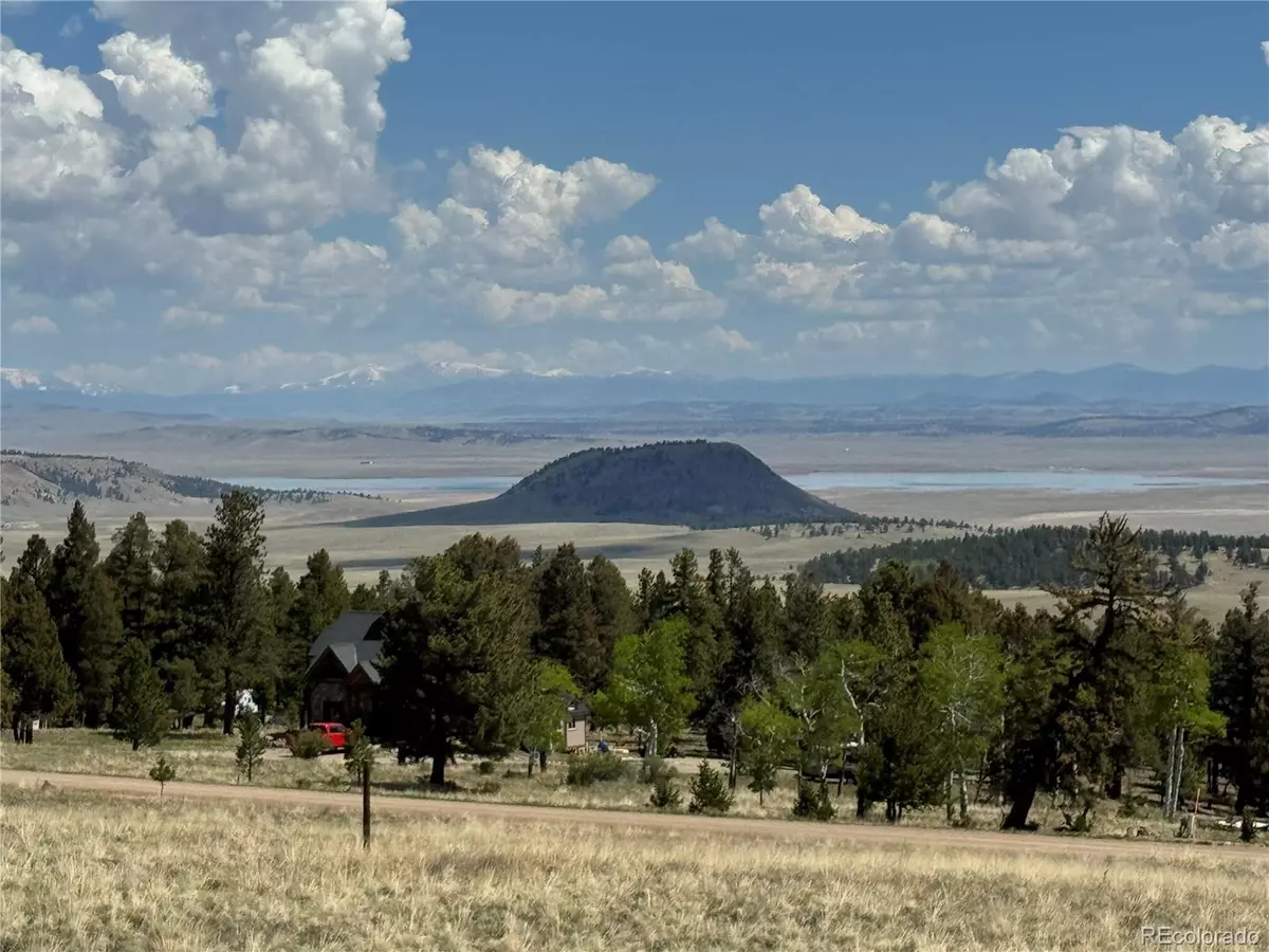 Hartsel, CO 80449,1421 Pitchfork RD