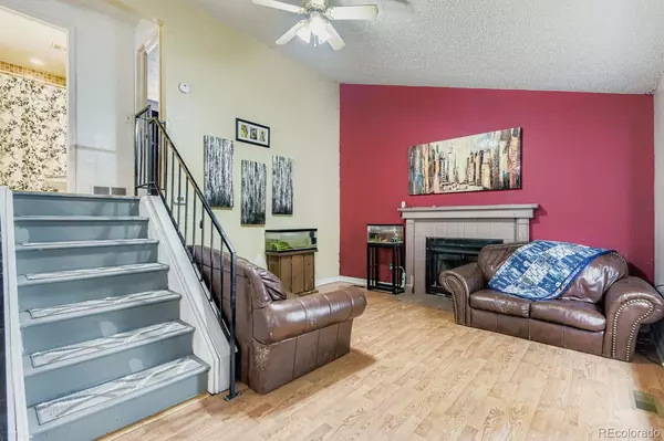 Parker, CO 80134,8460 Curlycup PL