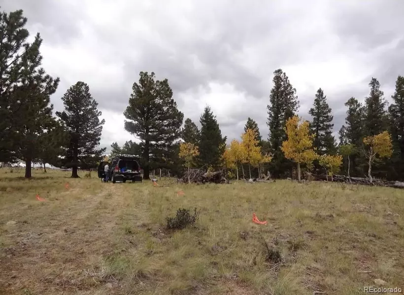 3826 Singletree RD, Hartsel, CO 80449
