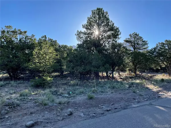 Crestone, CO 81131,56 Baca Grant WAY