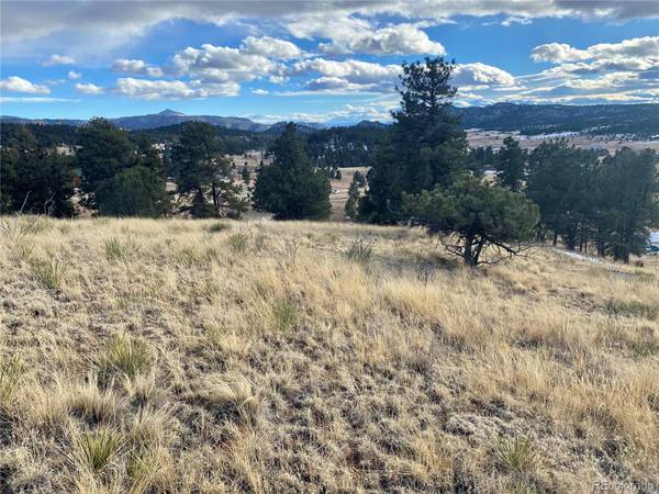 71 Elkhorn CIR, Florissant, CO 80816