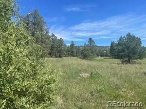 20098 Deer Path Circle Lot 60, Trinidad, CO 81091