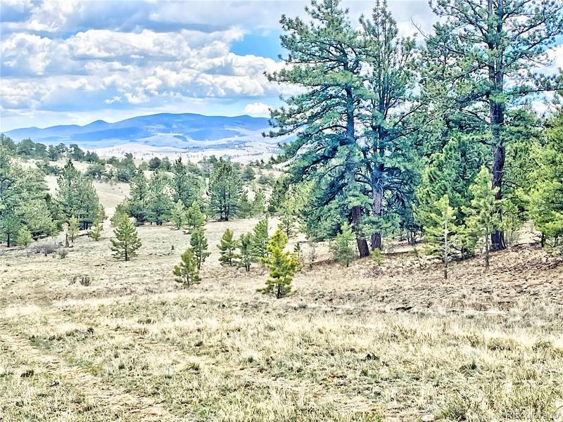 861 Hiawatha CIR, Hartsel, CO 80449