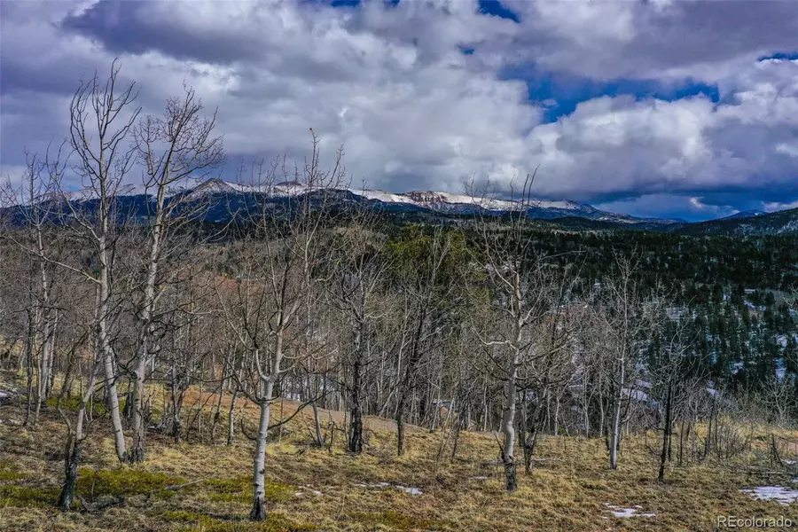 756 Golden Cycle Circle, Cripple Creek, CO 80813