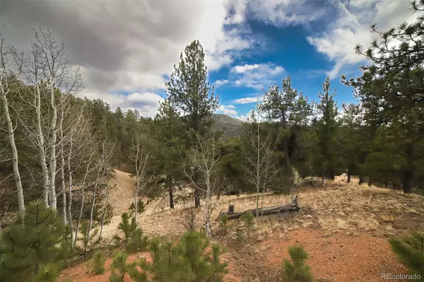 1440 Pikes Peak DR, Divide, CO 80814