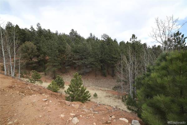 Divide, CO 80814,1440 Pikes Peak DR