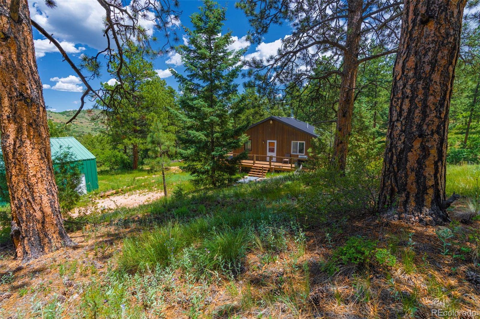 Canon City, CO 81212,1596 Kelly Creek TRL