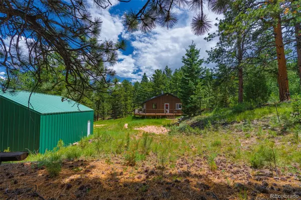 Canon City, CO 81212,1596 Kelly Creek TRL