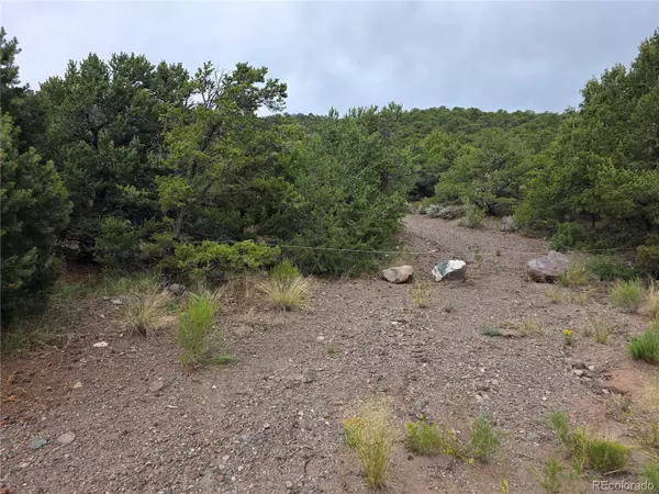 San Luis, CO 81152,0 Joy RD