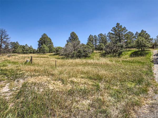 Ponderosa, Franktown, CO 80116