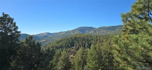 Evergreen, CO 80439,6979 Weasel WAY